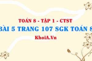 Bài 5 trang 107 SGK Toán 8 Tập 1 Chân trời sáng tạo